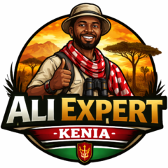 Logo Ali Expert Kenia